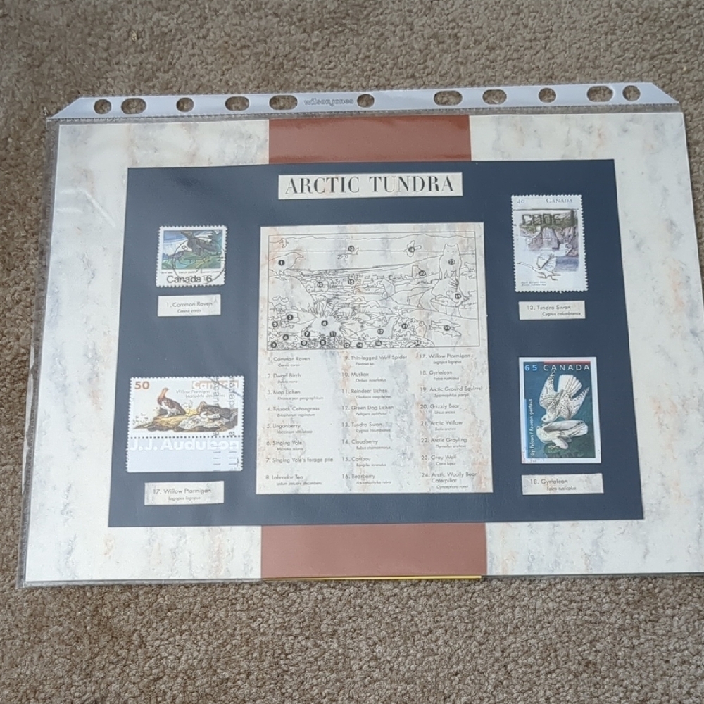 Arctic Tundra Stamp Collection Display